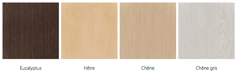 coloris-bois-vernis-q3000-amphi
