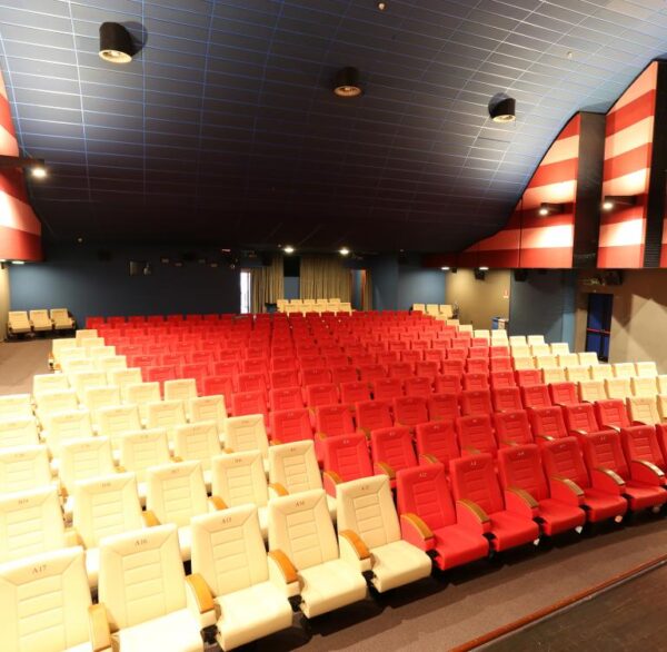 Fauteuil Cinéma Confort France