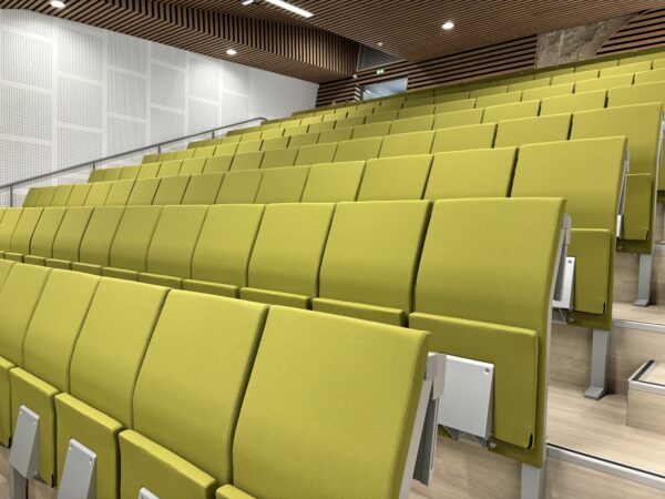 Université de Nîmes - Photo de l'amphithéâtre rénové