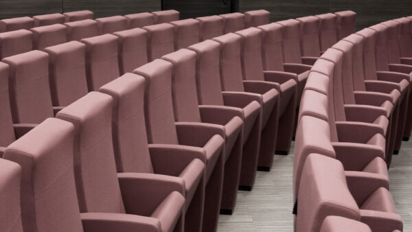 Fauteuil auditorium C900