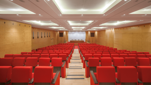 Fauteuil auditorium C900