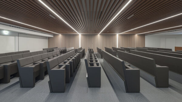 Fauteuil auditorium L213