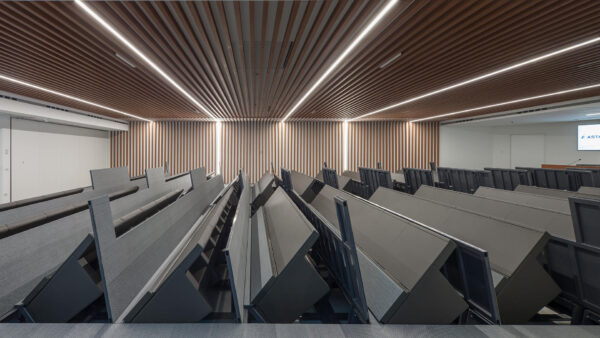 Fauteuil auditorium L213